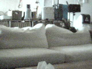 livecam060702.gif