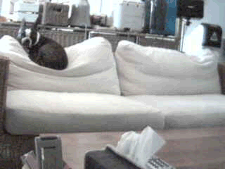 livecam061030.gif