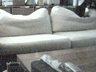 livecam092506g.gif