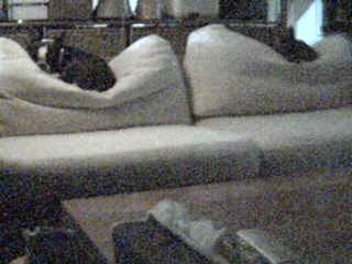 livecam092508.jpg